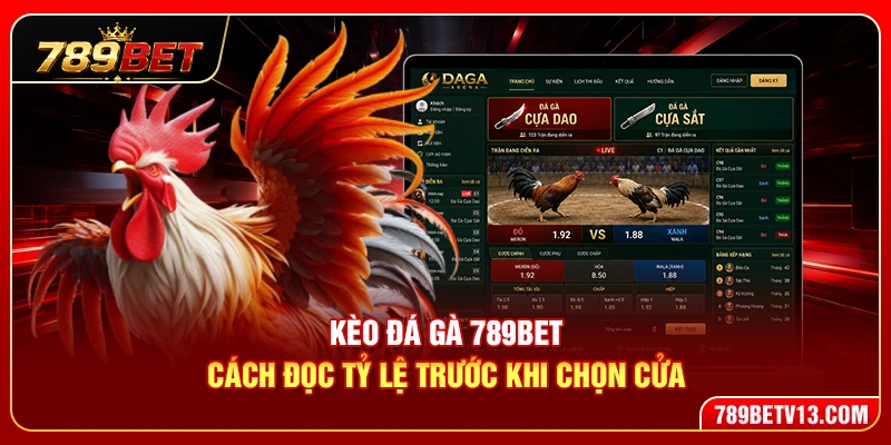Kèo Đá Gà 789BET – Cách Đọc Tỷ Lệ Chuẩn Xác Cho Người Mới 4 Kèo Đá Gà 789BET – Cách Đọc Tỷ Lệ Chuẩn Xác Cho Người Mới