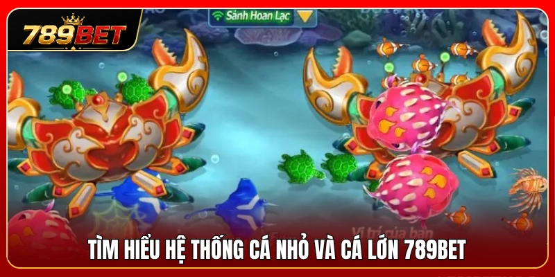 Khái quát về hệ thống cá nhỏ cá lớn 789BET 