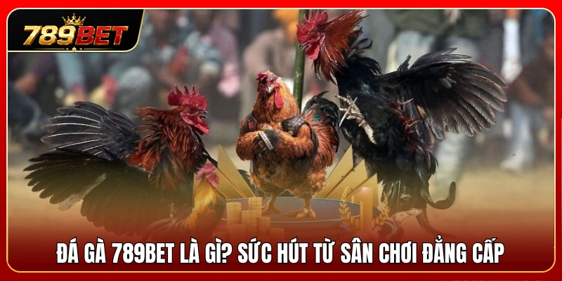 Sảnh đá gà 789BET là gì? Điểm hấp dẫn của đấu trường uy tín 