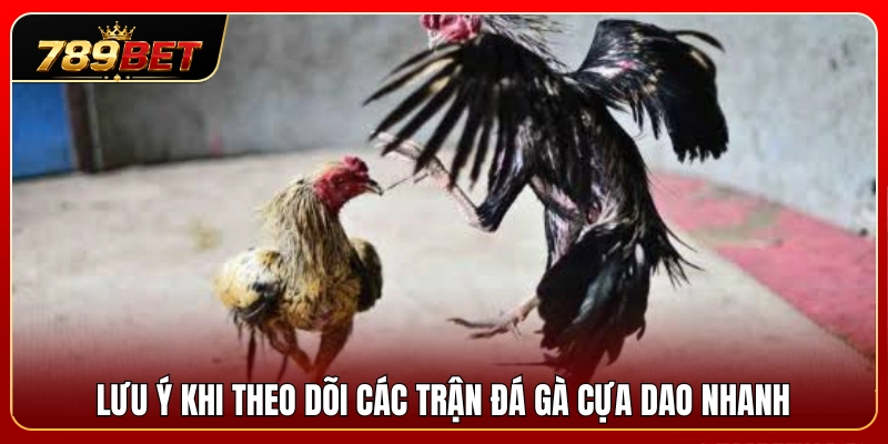 Lưu ý quan trọng khi quan sát các màn đá gà cựa dao nhanh 