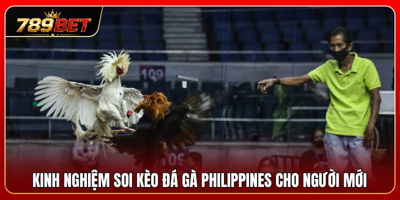 Đá Gà Philippines 789BET – Dòng Trận Quốc Tế Được Quan Tâm 4 Bí quyết nhận định cược đá gà Philippines dành cho tân thủ
