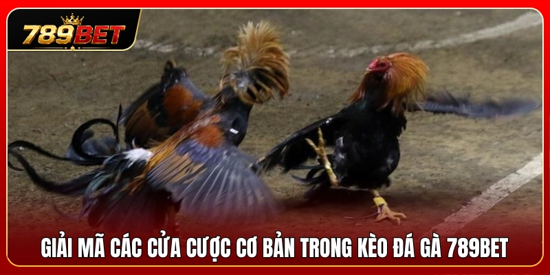 Kèo Đá Gà 789BET – Cách Đọc Tỷ Lệ Chuẩn Xác Cho Người Mới 3 Giải thích ý nghĩa các ô đặt cược cơ bản trong đá gà 789BET