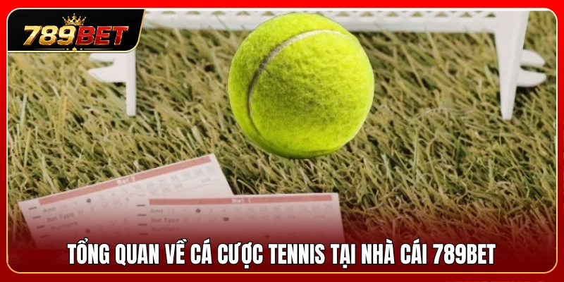 Kèo Tennis 789BET – Cách Đọc Game, Set Và Tỷ Lệ Trận Đấu 2 Tìm hiểu thông tin tổng quan kèo tennis 789BET