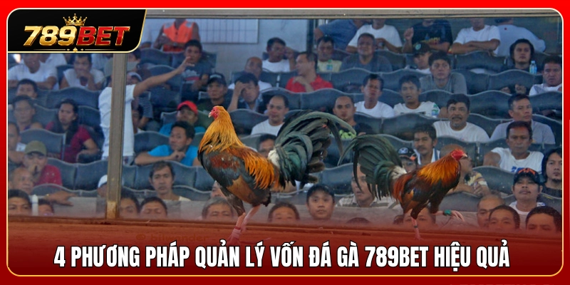 4 Giải pháp quản lý vốn đá gà 789BET tối ưu nhất 