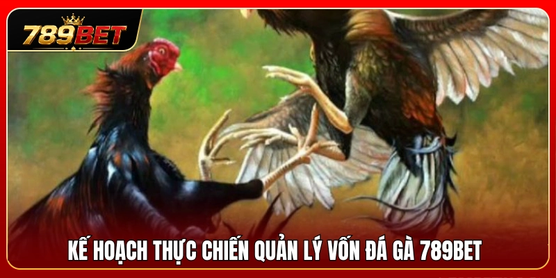 Phương án áp dụng quản lý vốn đá gà 789BET vào thực tế 