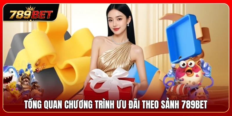 Giới thiệu chung về chính sách ưu đãi theo sảnh 789BET 